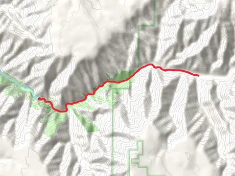 South Fork Walla Walla Trail Out and Back