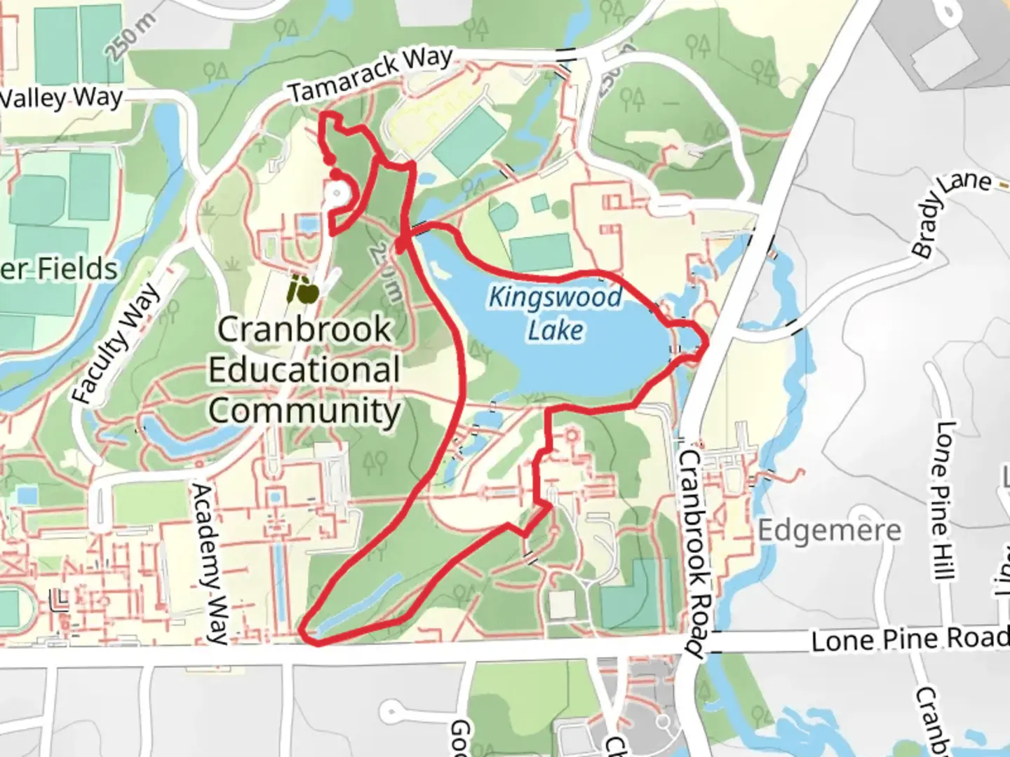 An image depicting the trail Kingsbrook Lake and Cranbrook Forest Loop Trail and its surrounding area.