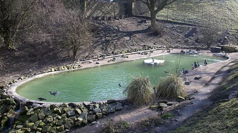 Dudley Zoo and Castle Loop