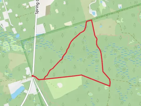 Florida Trail Loop from Smith Cemetery