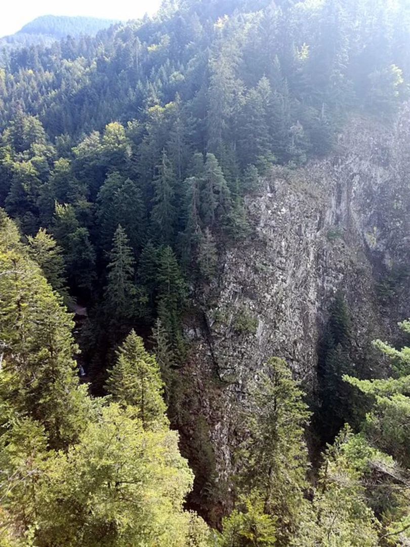 An image depicting the trail All Saints Waterfall and Engelskanzel Loop via Renchtalsteig and its surrounding area.