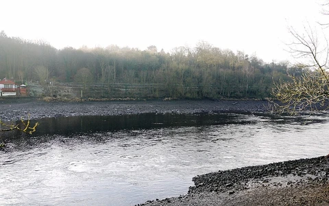 An image depicting the trail Tyne Riverside Country Park Loop and its surrounding area.