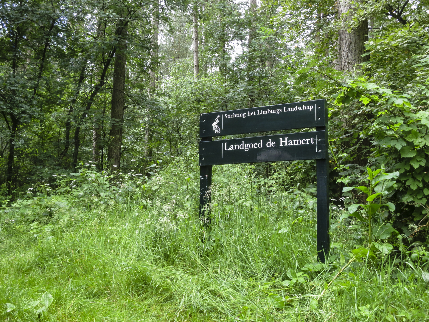 An image depicting the trail Wellerlooi to Arcen via Westmeervan, Dikkenberg Weg and Pikmeeuwen Water and its surrounding area.