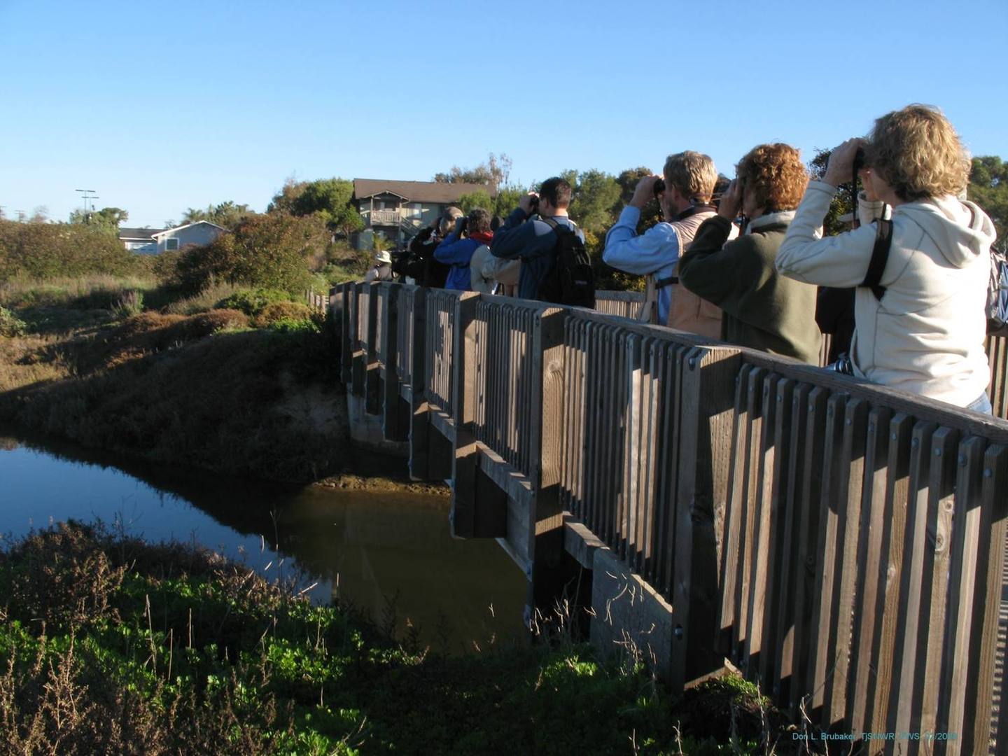 An image depicting the trail North Mc Coy Trail and River Mouth Loop Trail and its surrounding area.