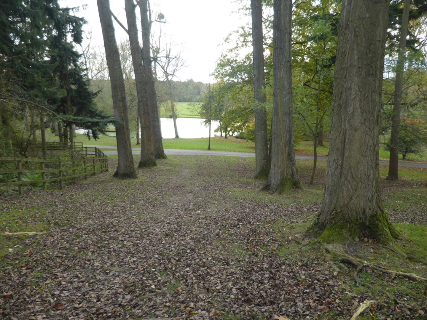 An image depicting the trail Fairlawne Park and Ightham Mote Loop and its surrounding area.