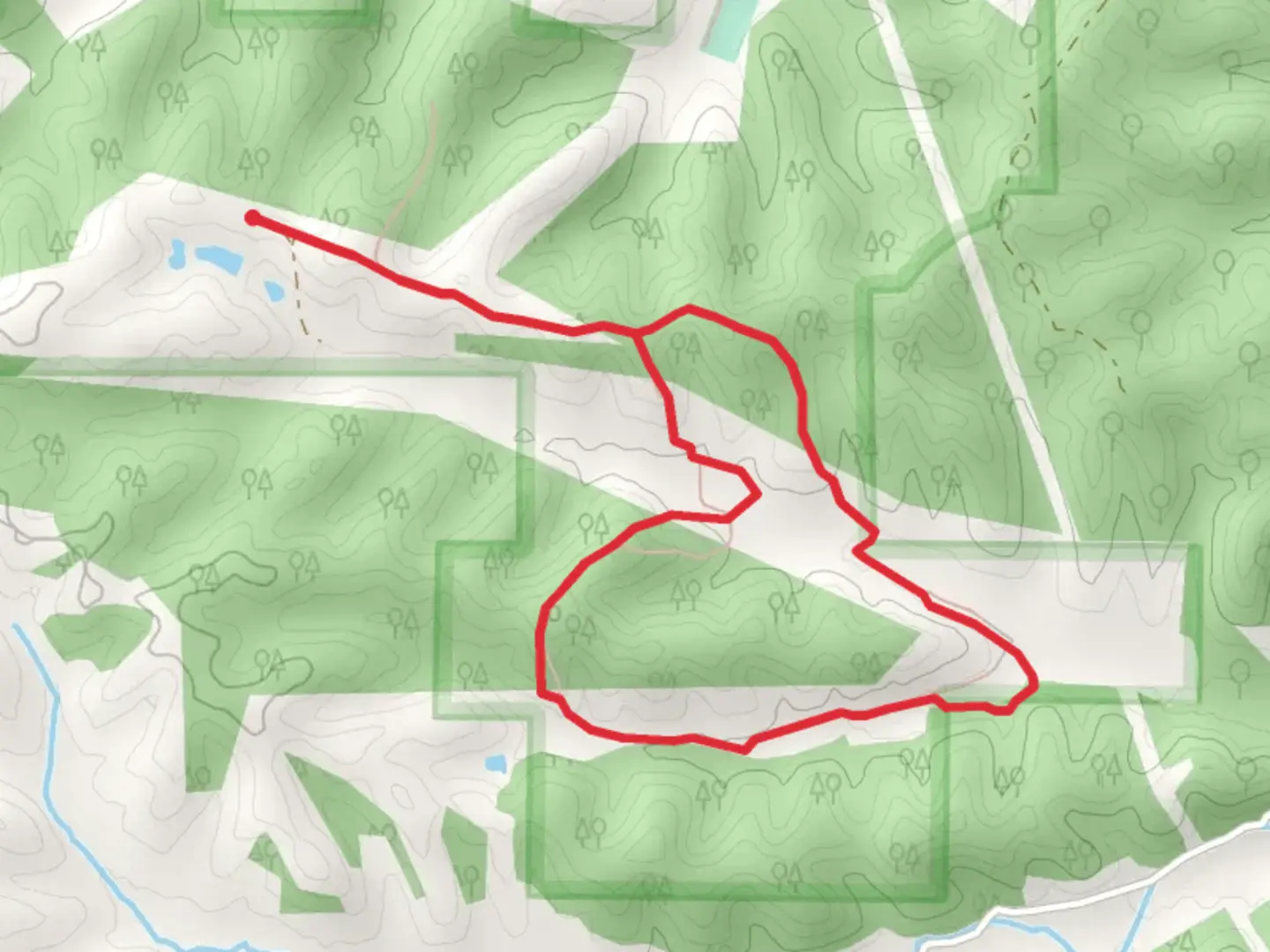 An image depicting the trail County Road 525 Loop - East and its surrounding area.