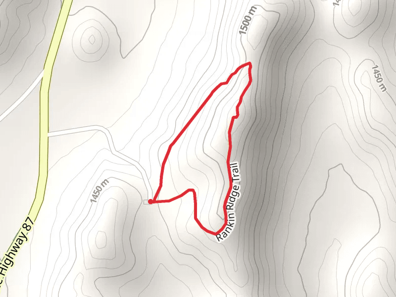 Rankin Ridge Trail Loop