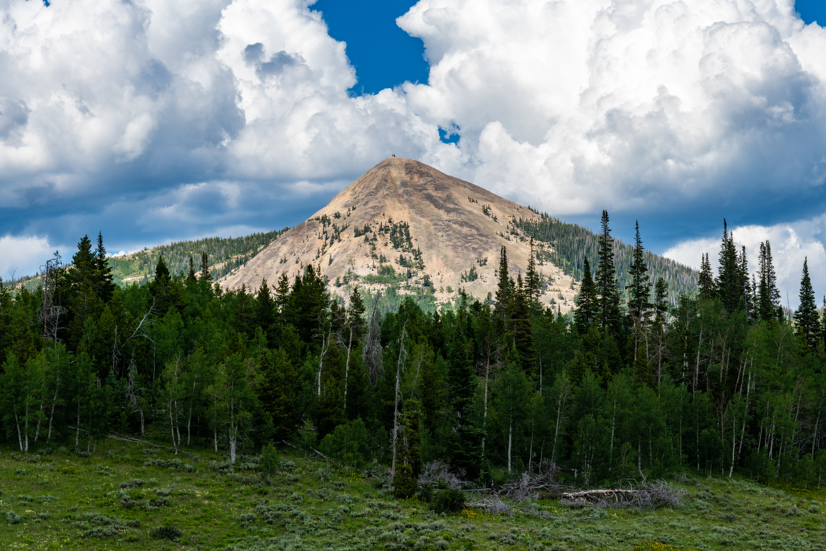 An image depicting the trail Hahns Peak Trail and its surrounding area.