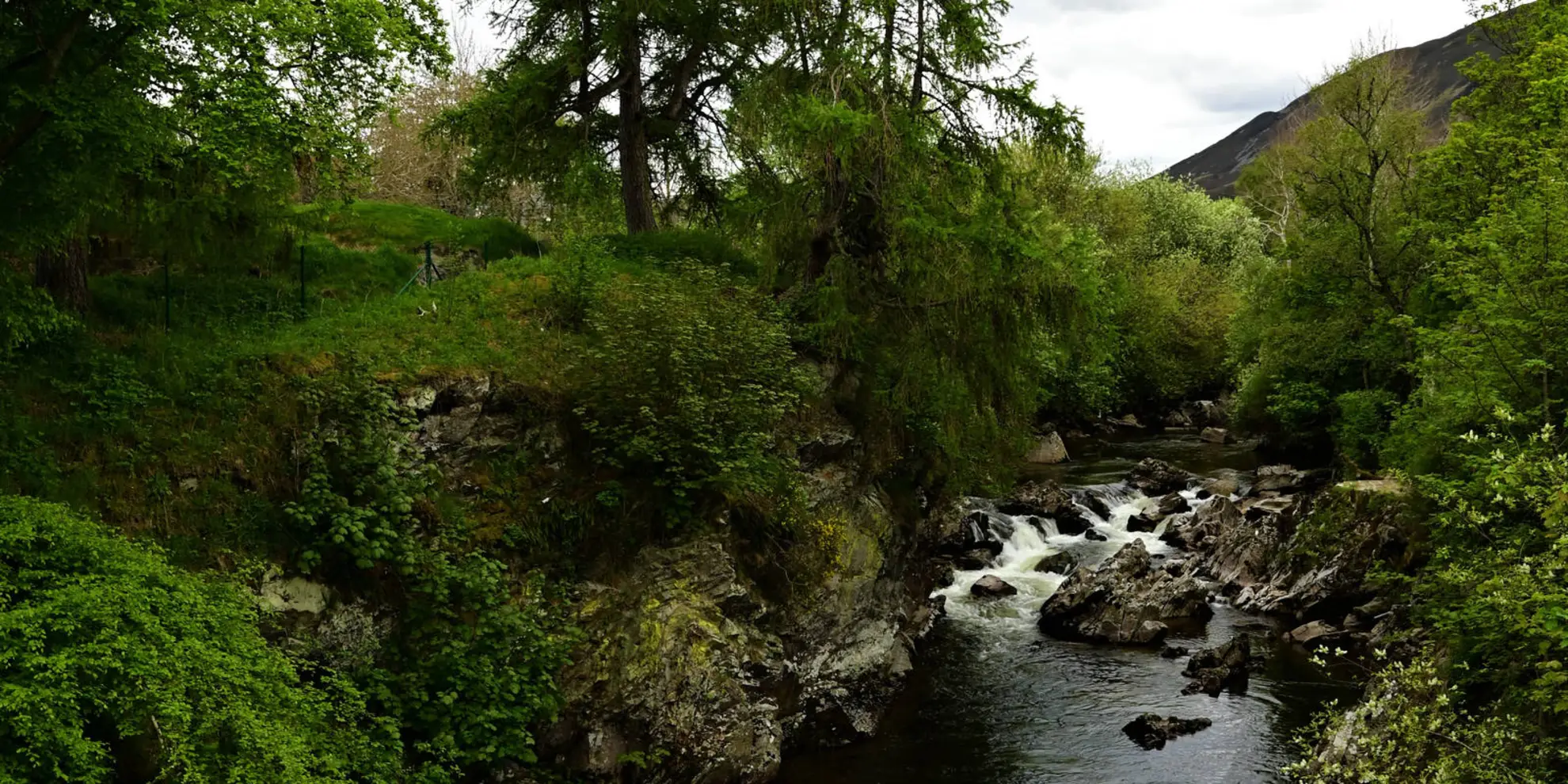 An image depicting the trail Creag Choinnich Trail and its surrounding area.