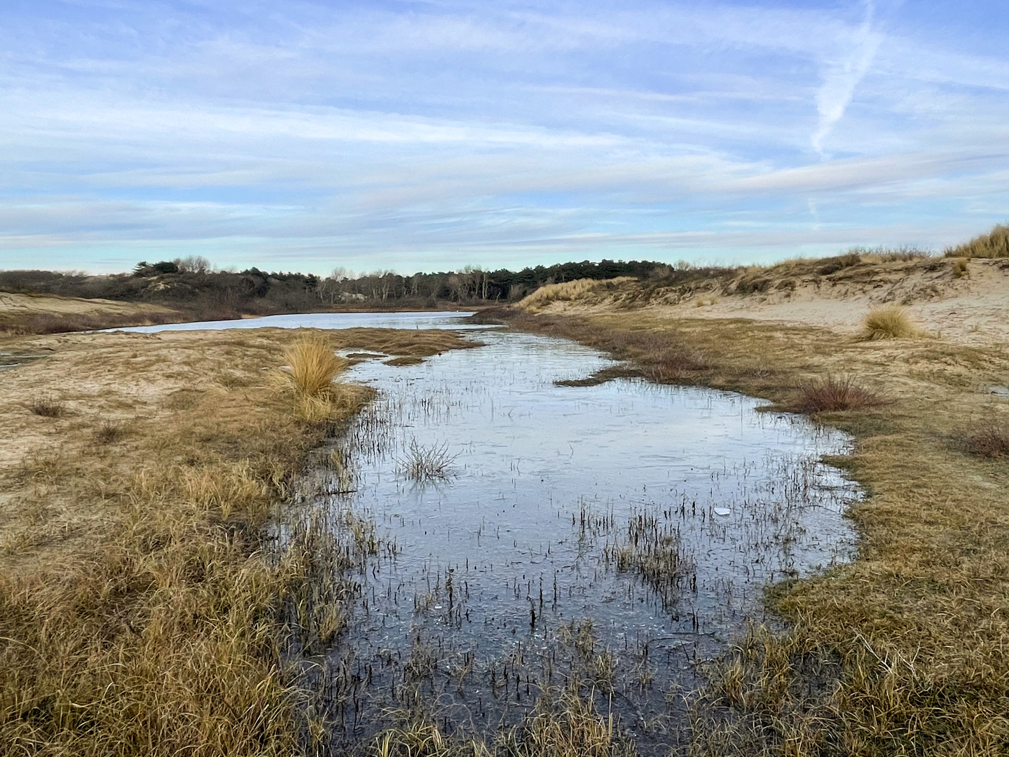 An image depicting the trail Koningsbosch, Panneduin, Meijendel and klokkenstoel Loop and its surrounding area.
