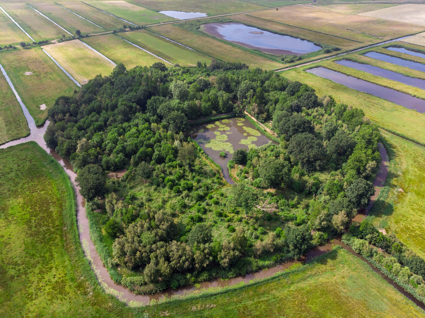 An image depicting the trail Oldekerk Loop via Kroonsfelder Weg and its surrounding area.