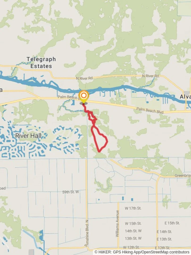 An image depicting the trail Palmetto Pines Trail via Hickey's Creek Loop Trail and its surrounding area.