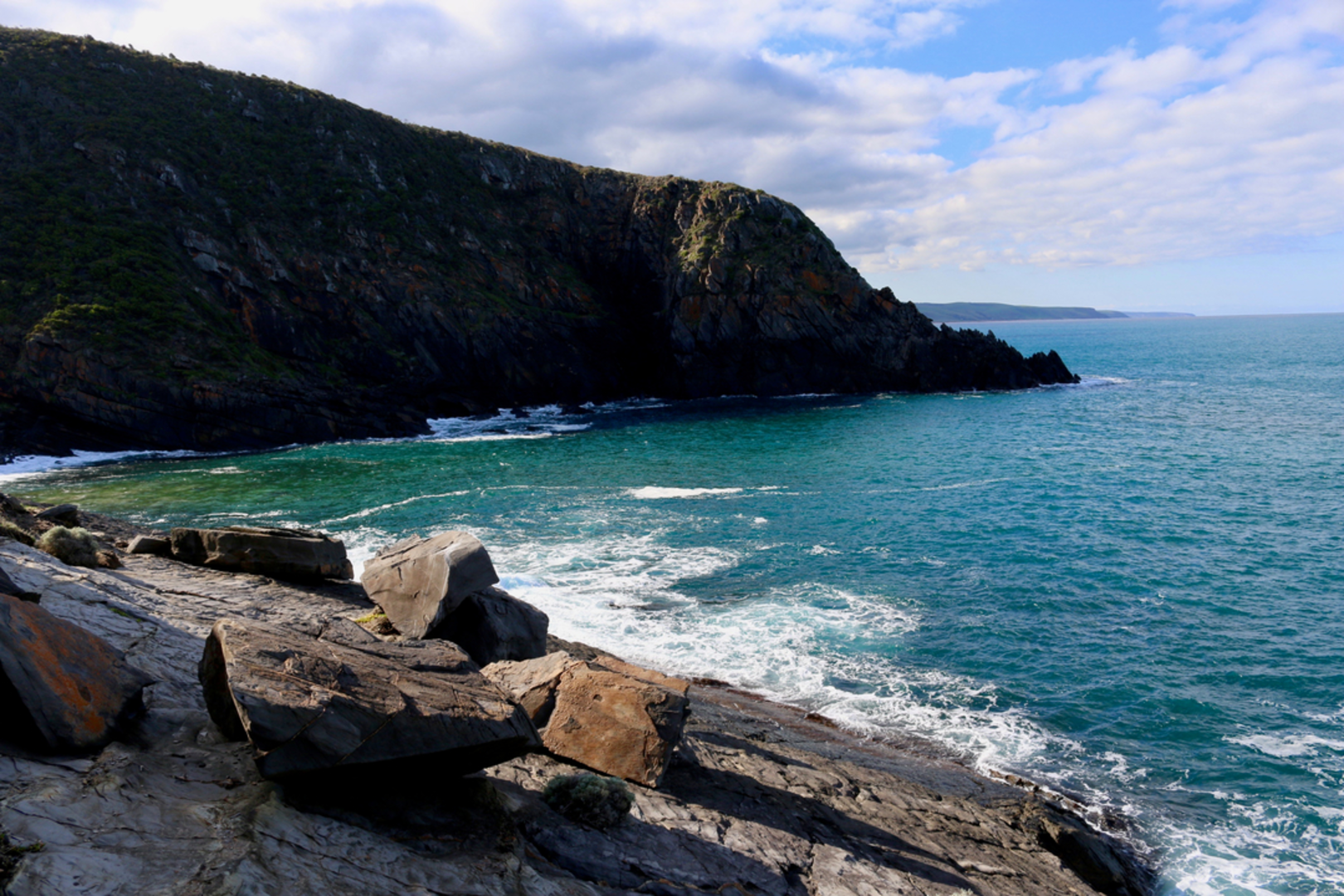 An image depicting the trail Deep Creek Cove Track from Trig Picnic Area and its surrounding area.