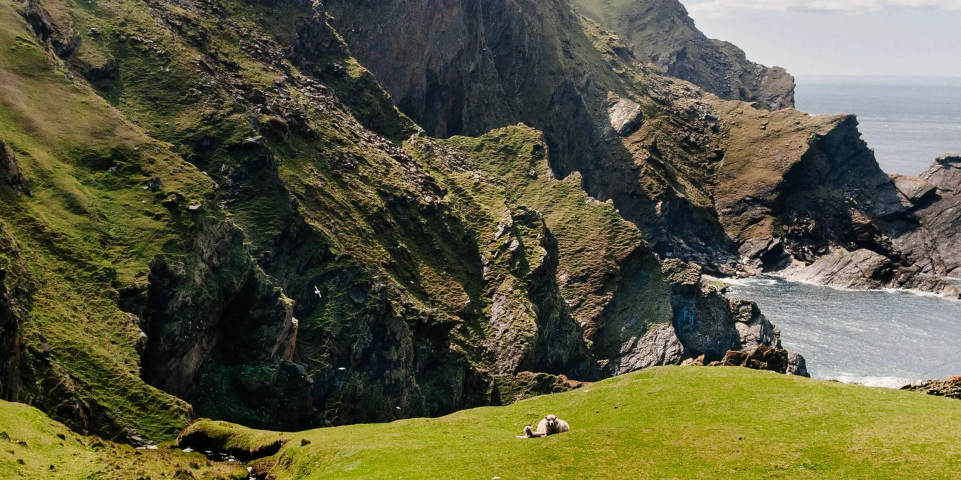 An image depicting the trail Hermaness Loop - Shetland and its surrounding area.