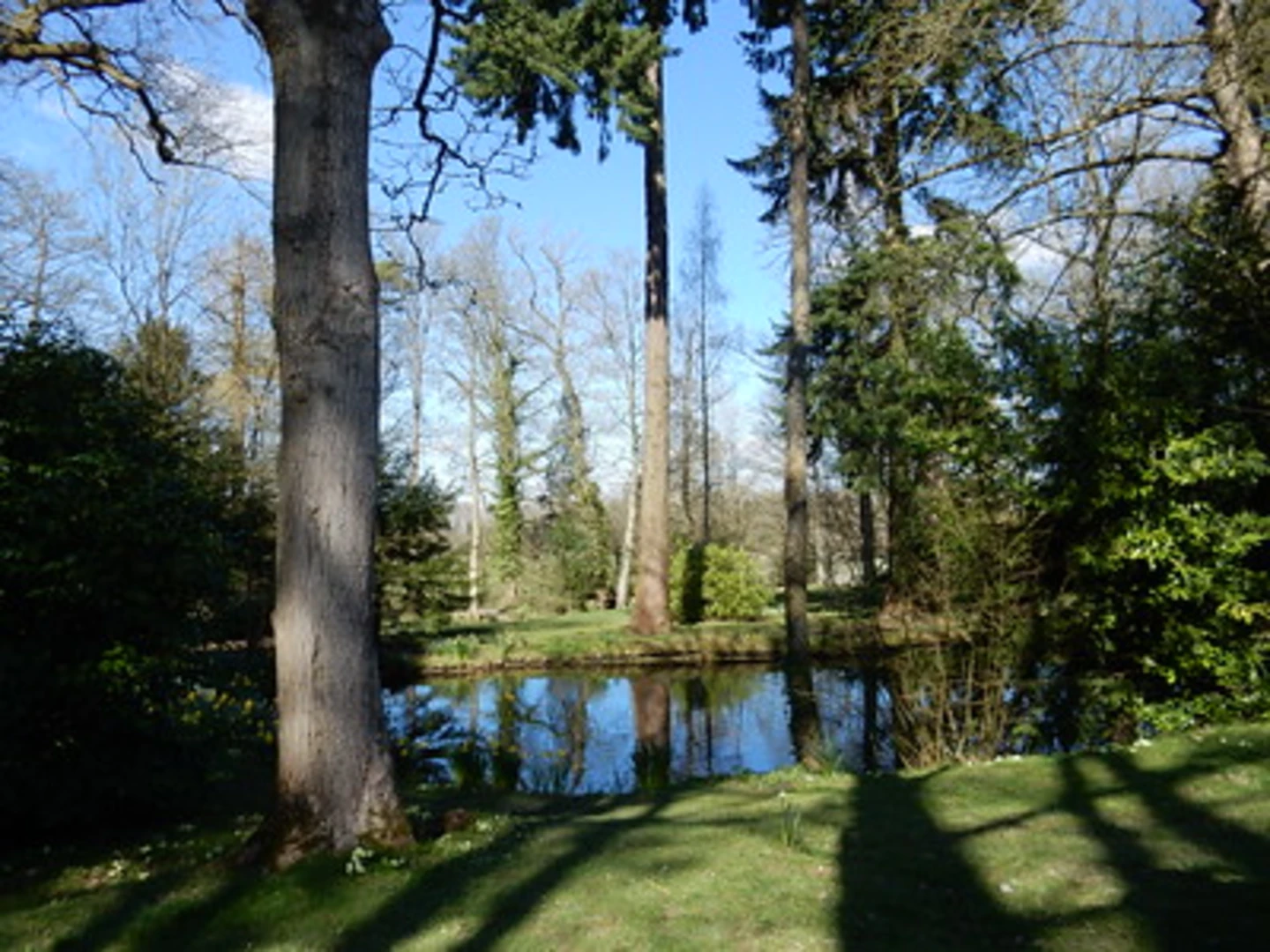 An image depicting the trail Fir Plantation via Heart of England Way and its surrounding area.