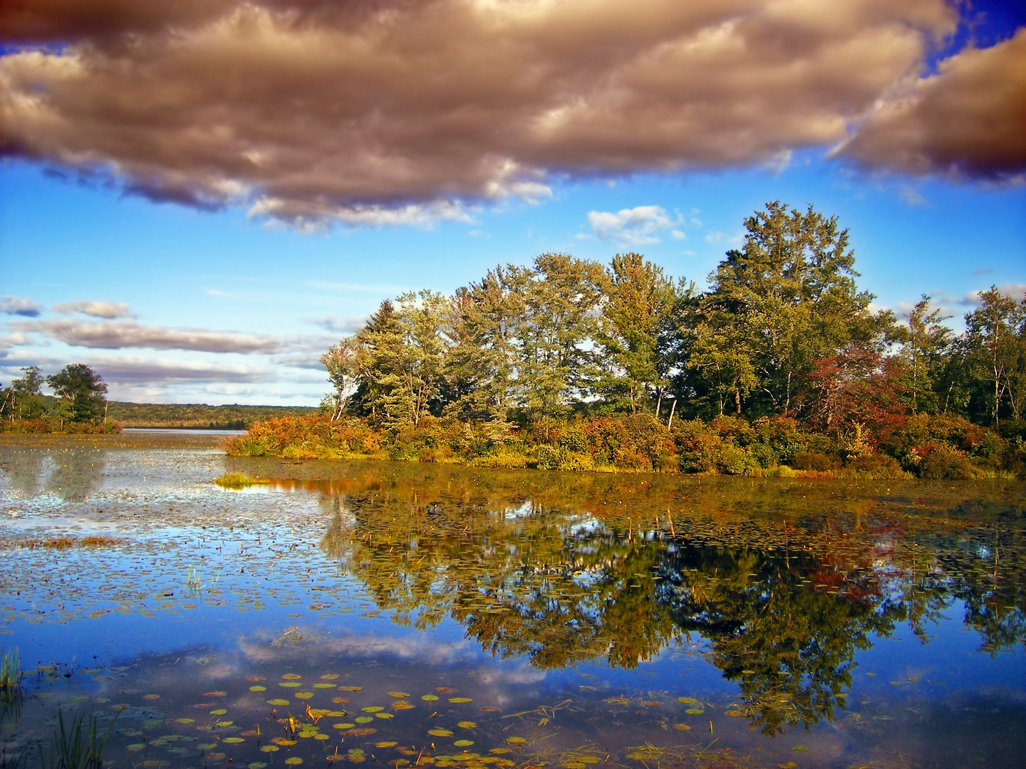Pecks Pond