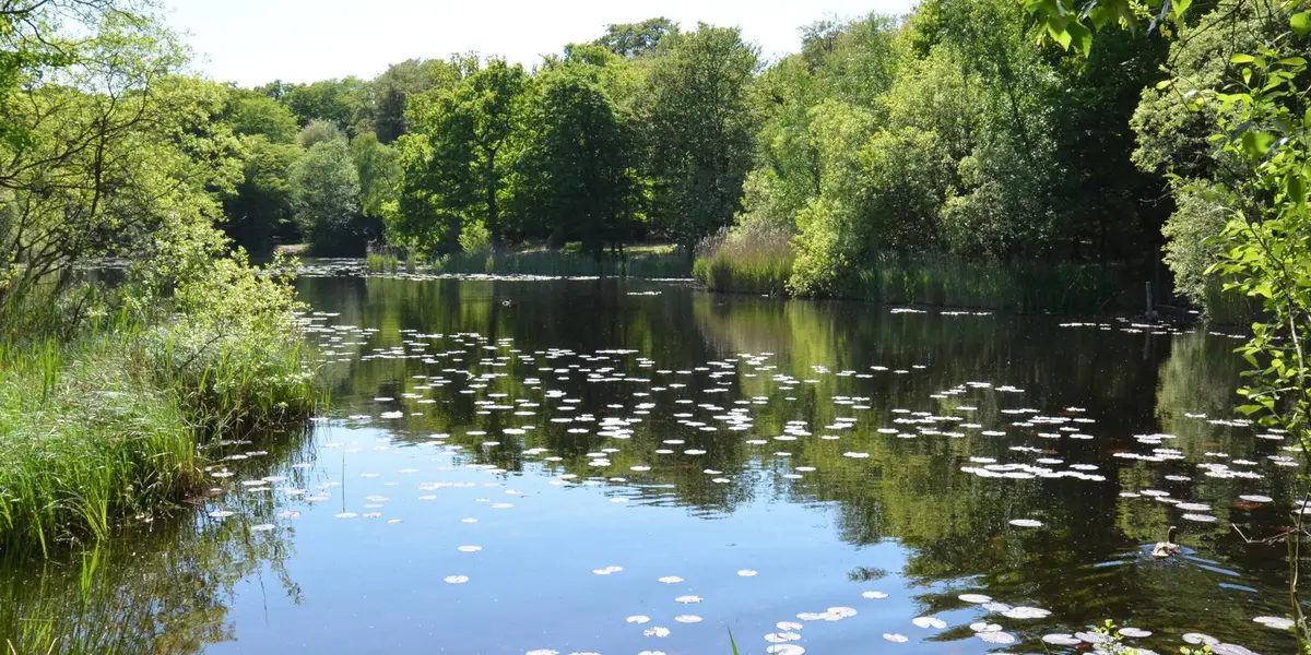 Roydon to Epping Walk