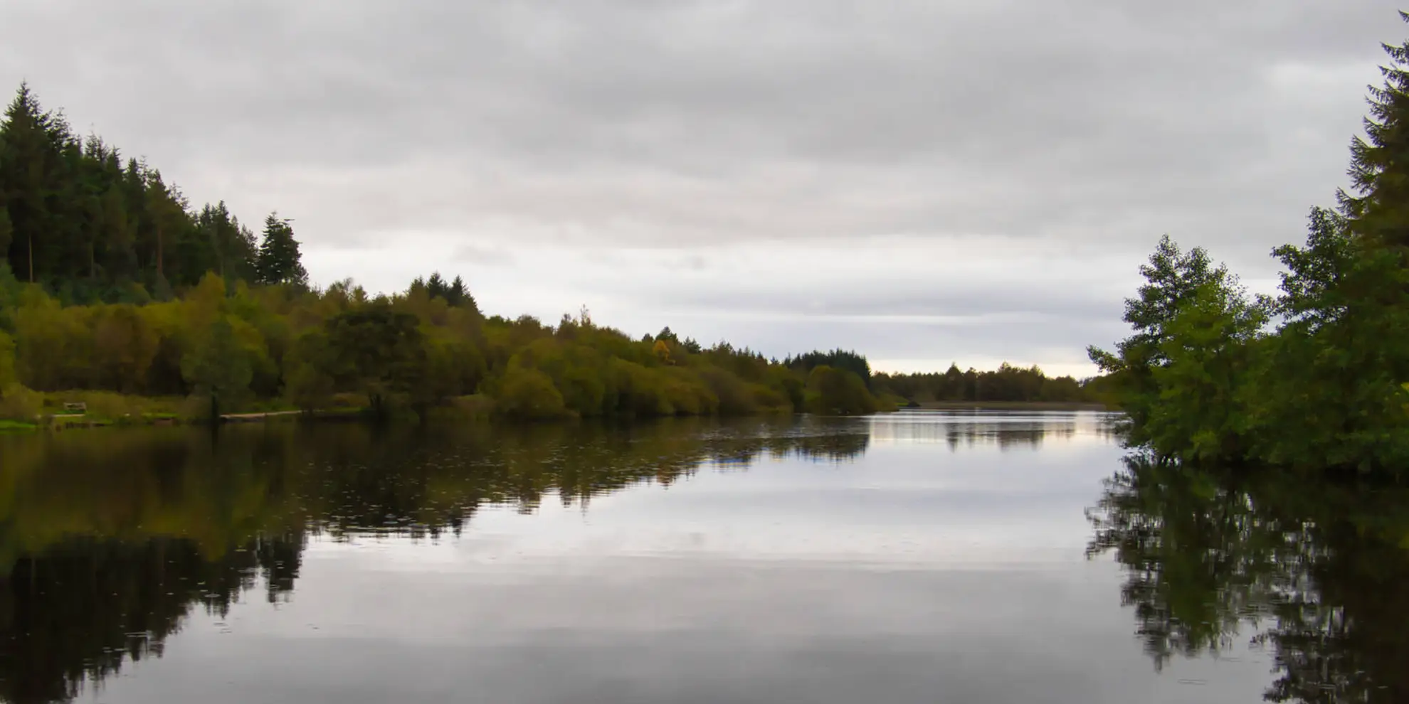An image depicting the trail Scarth Wood Moor from Osmotherley and its surrounding area.