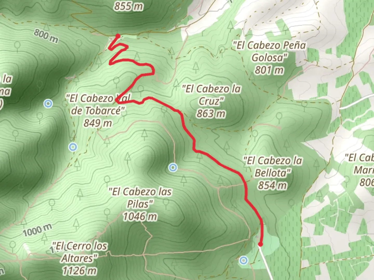 An image depicting the trail Sanctuary of Our Lady of the Vineyards - Raso de la Cruz PR Z 42 and its surrounding area.