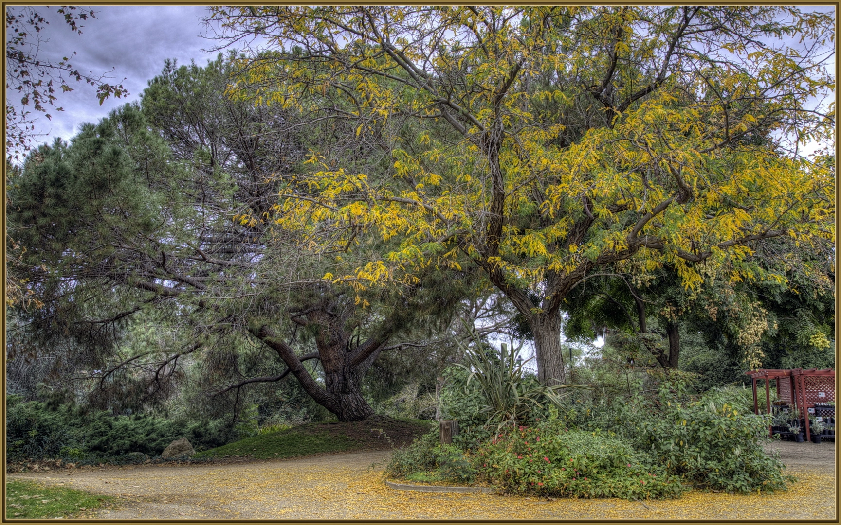 An image depicting the trail Fullerton Arboretum Loop and its surrounding area.