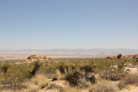 An image depicting the trail Indian Cove Nature Trail and its surrounding area.