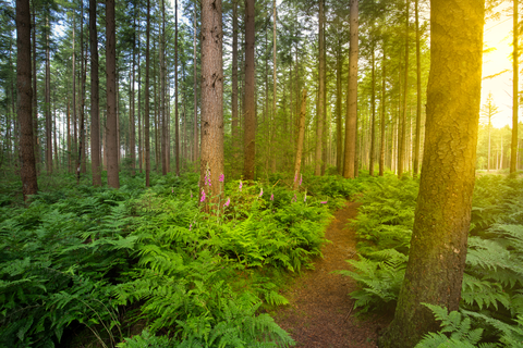 Zwarte Water and Gietener Veld Loop