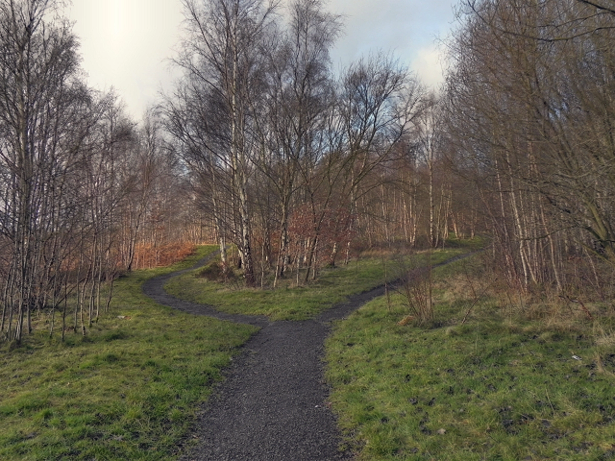 King George V Lodge and Outwood Country Park Loop
