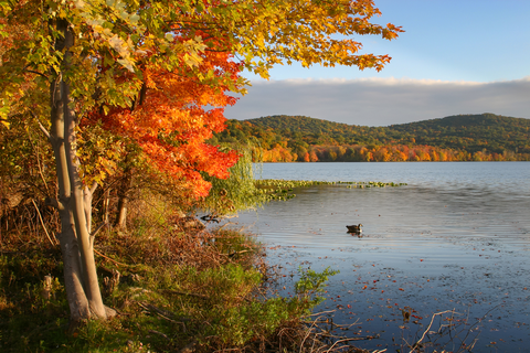 An image depicting the trail Rockland Lake Executive Golf Course Loop and its surrounding area.