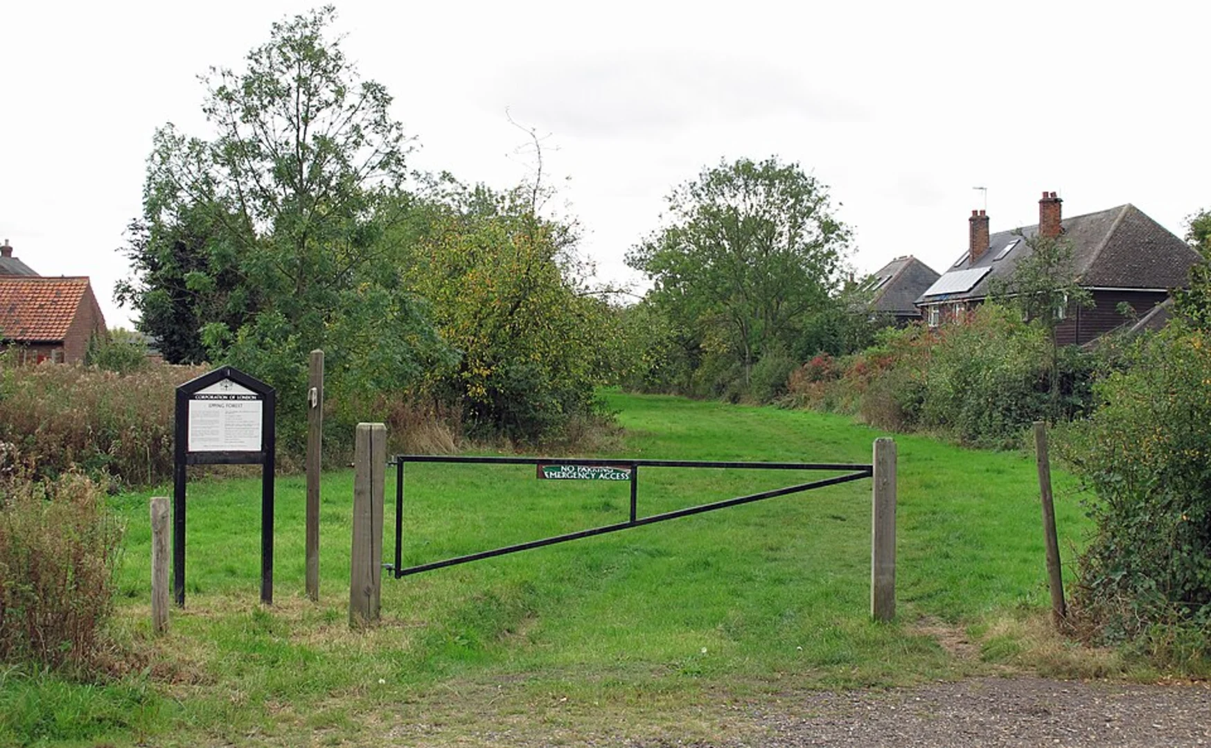 An image depicting the trail Copy Wood via Three Forests Way and its surrounding area.