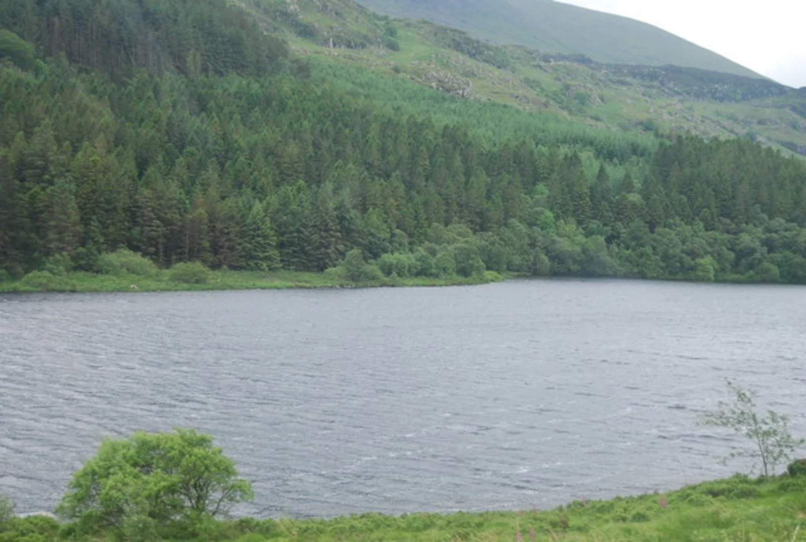 An image depicting the trail Llynnau Mymbyr Walk and its surrounding area.