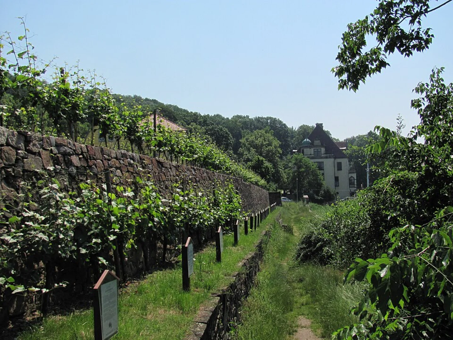 An image depicting the trail Weinlehrpfad Loop and its surrounding area.