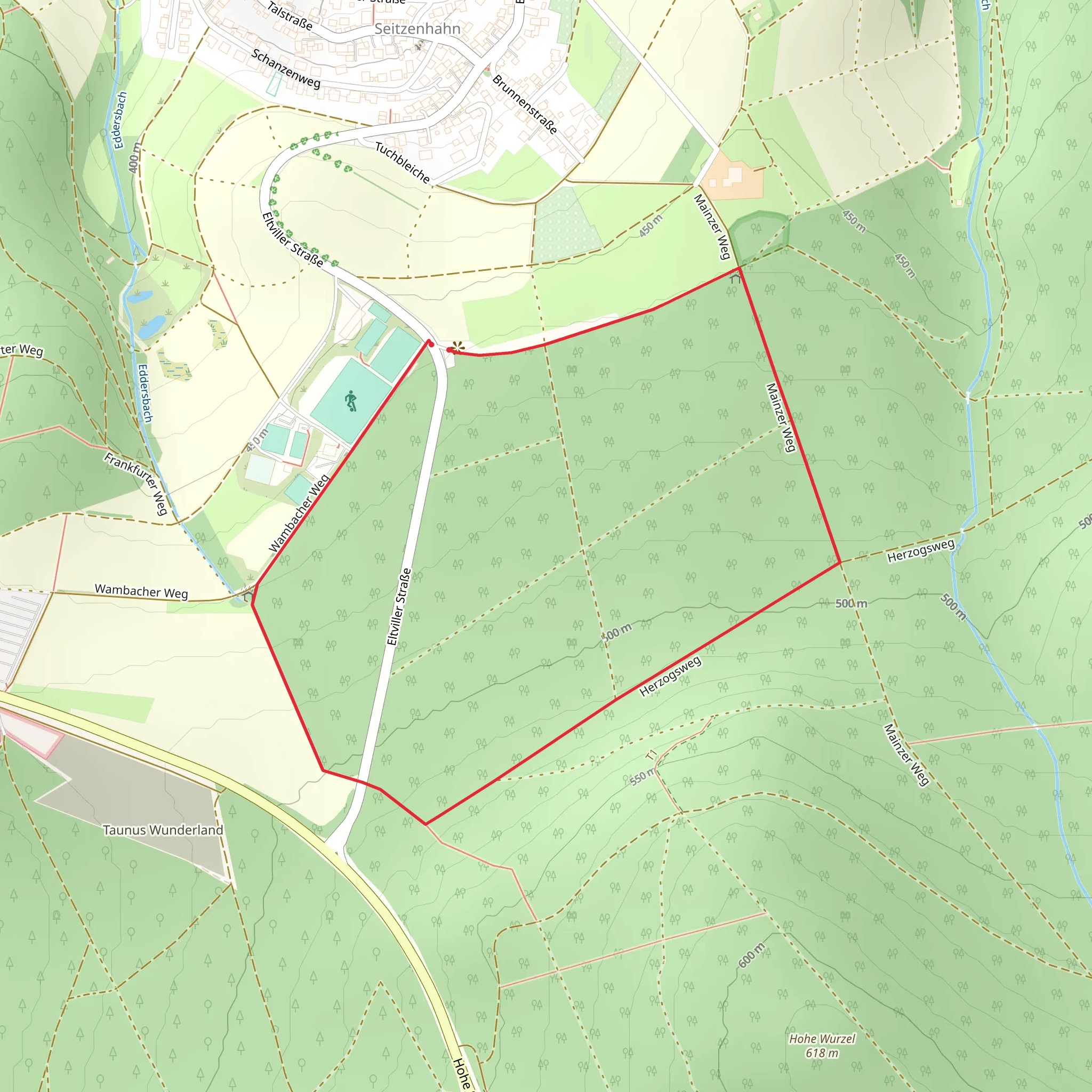 Schwarzer Hahn and Herzogsweg Loop mobile static map