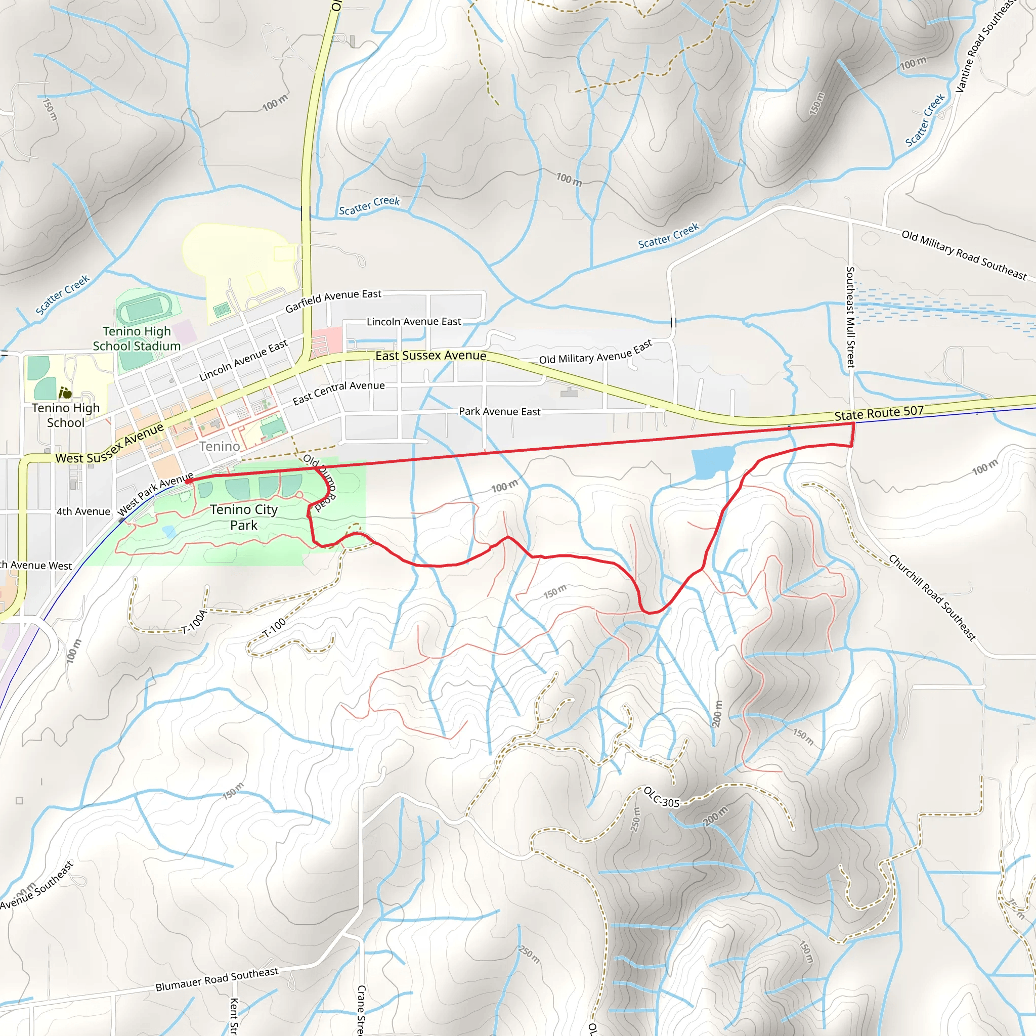 Yelm-Tenino Loop Trail mobile static map