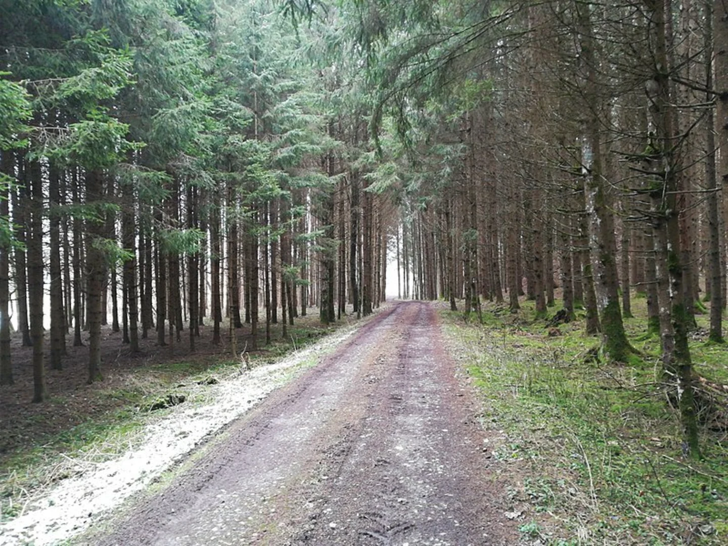 An image depicting the trail Steinbachgrabenweg - Bad Blumau Loop and its surrounding area.