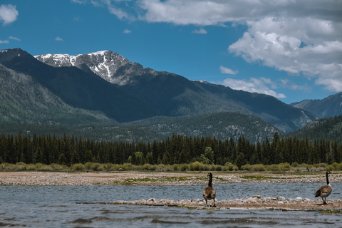 An image depicting the trail Flint Creek via Pine River Trail and its surrounding area.