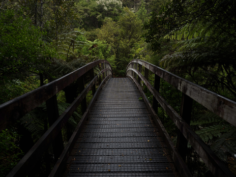 Wentworth Falls Track