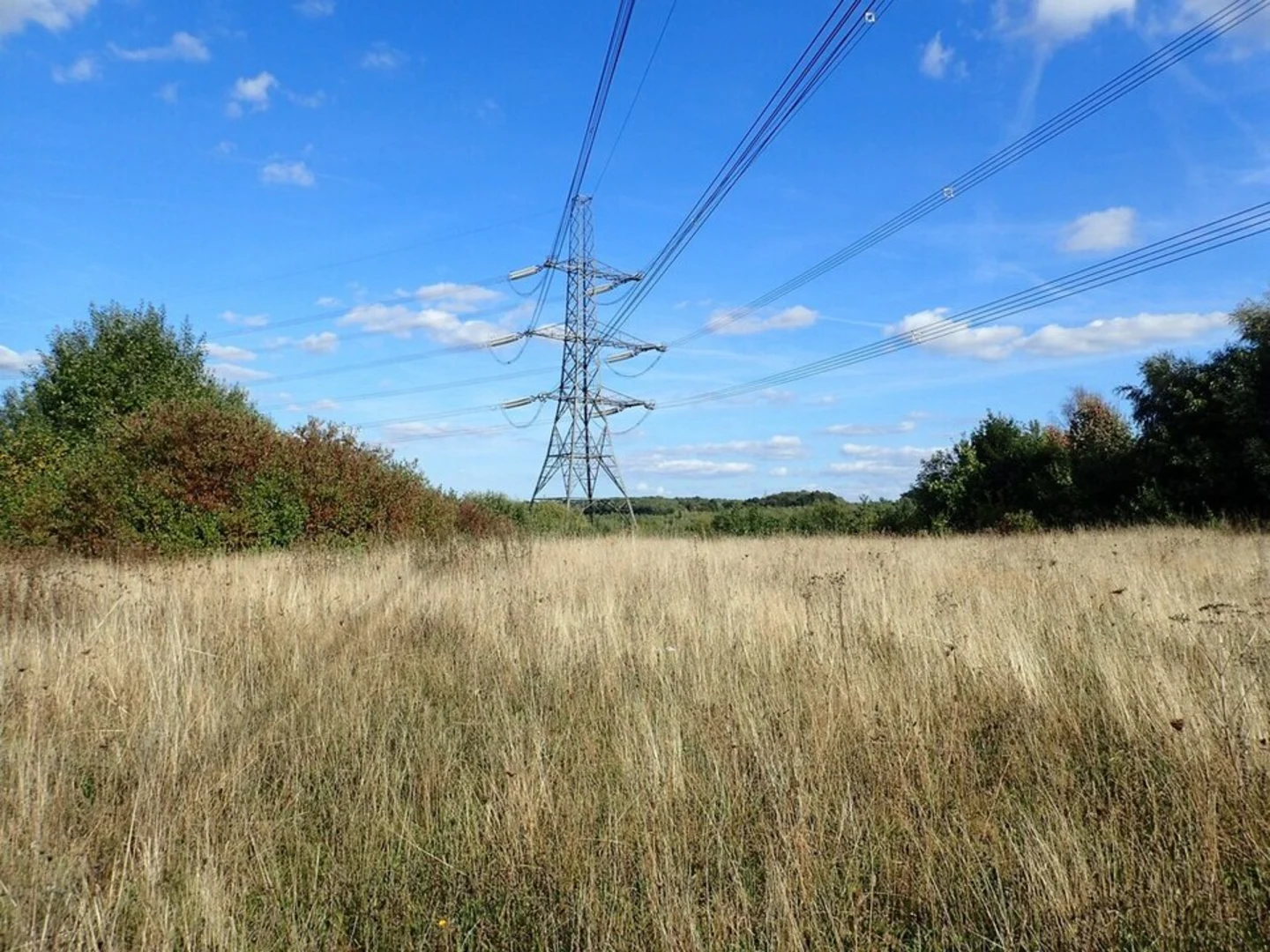 An image depicting the trail Jeskyns Park and its surrounding area.