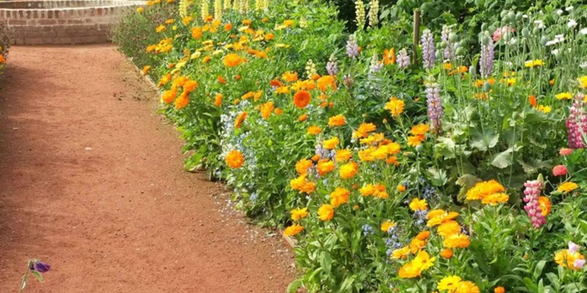 An image depicting the trail Circular from Packwood House near Dorridge and its surrounding area.