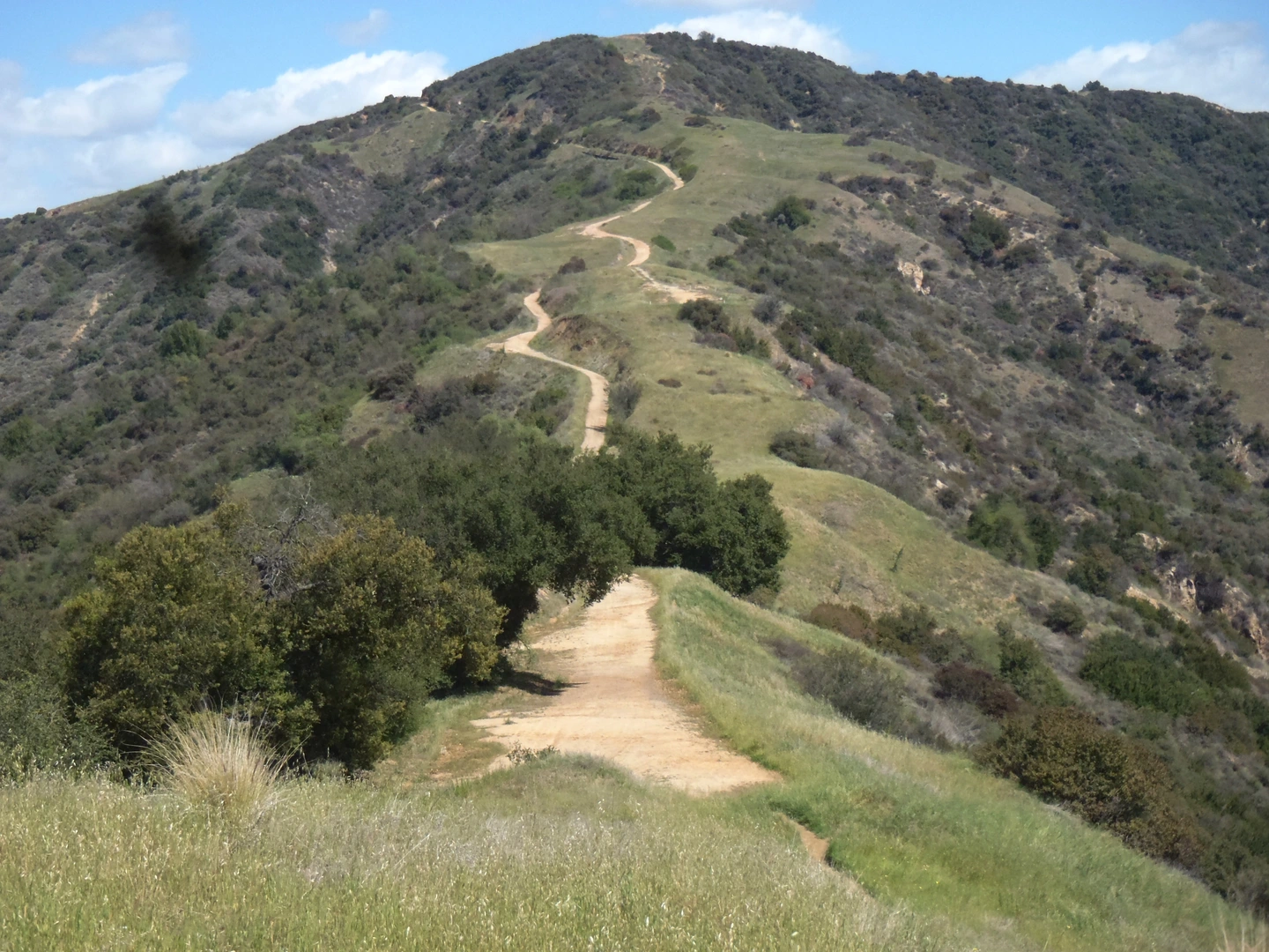 An image depicting the trail Glendora Ridge Way and its surrounding area.