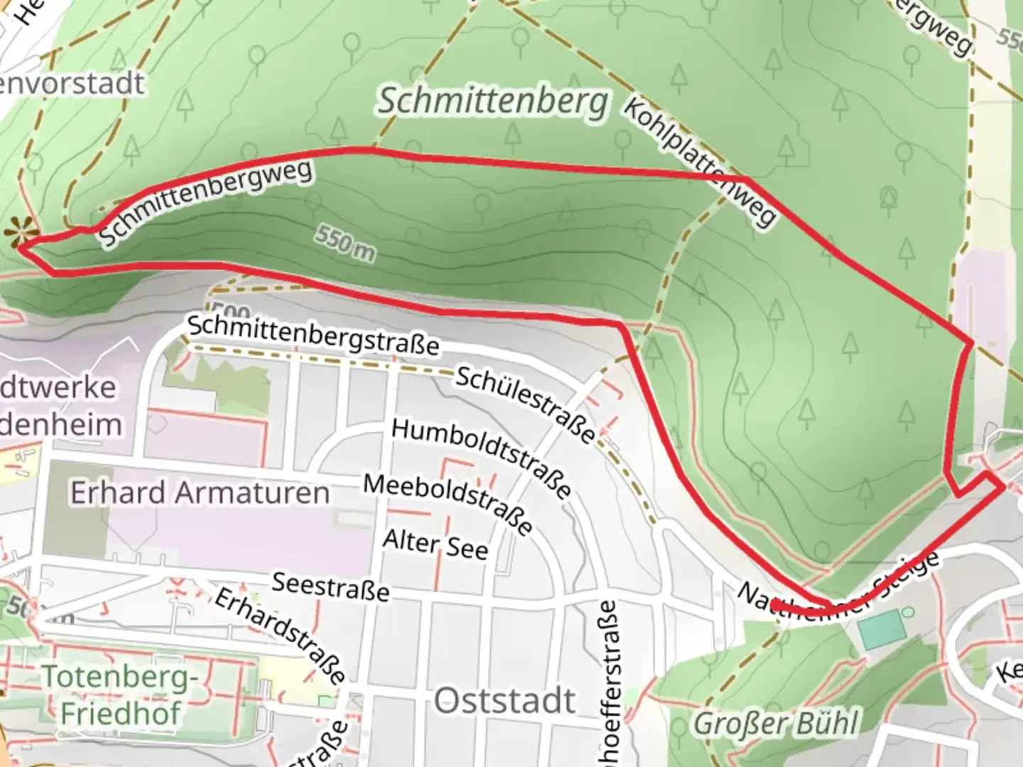 An image depicting the trail Schmittenberg Loop and its surrounding area.