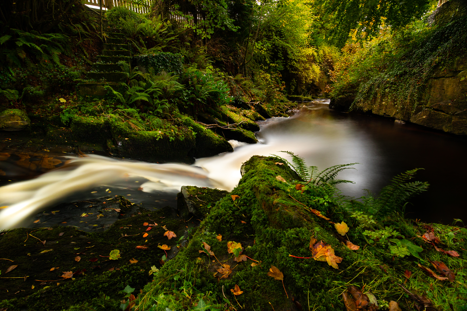 An image depicting the trail Cadamstown Nature Eco Trail Loop and its surrounding area.