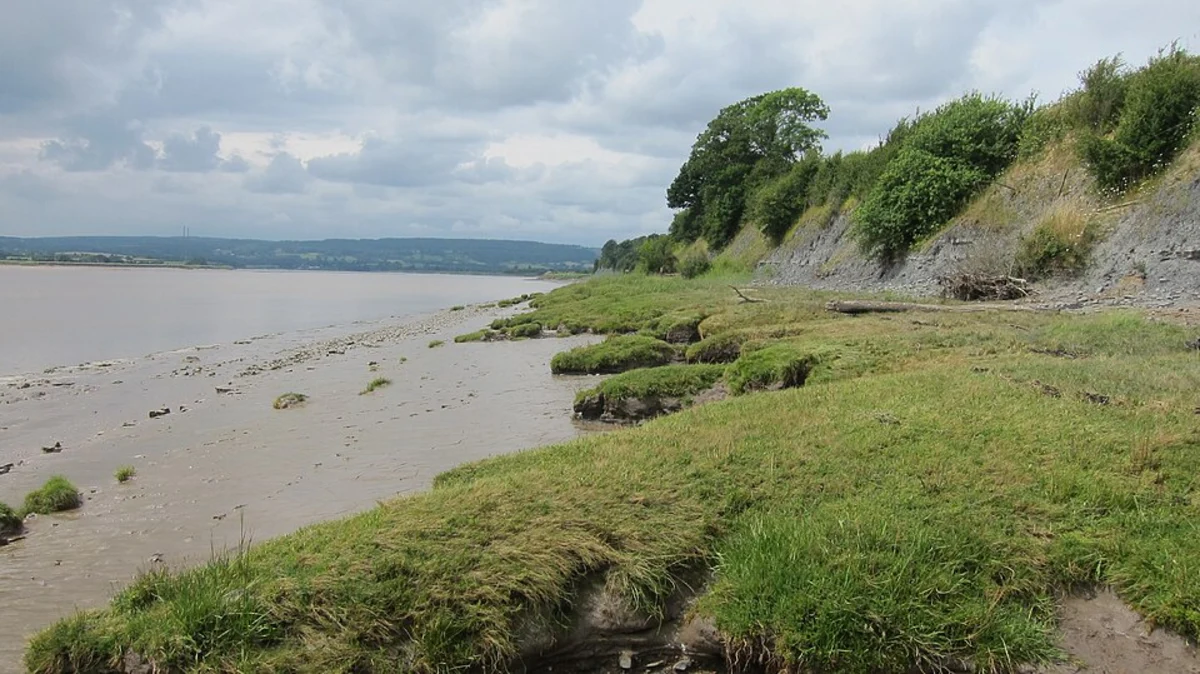Long Wood and River Severn Loop