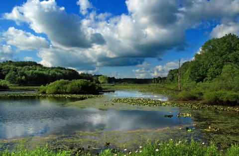 Deer Run Loop in Erie National Wildlife Refuge