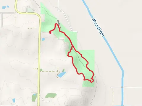 Beech Tree Trail Loop