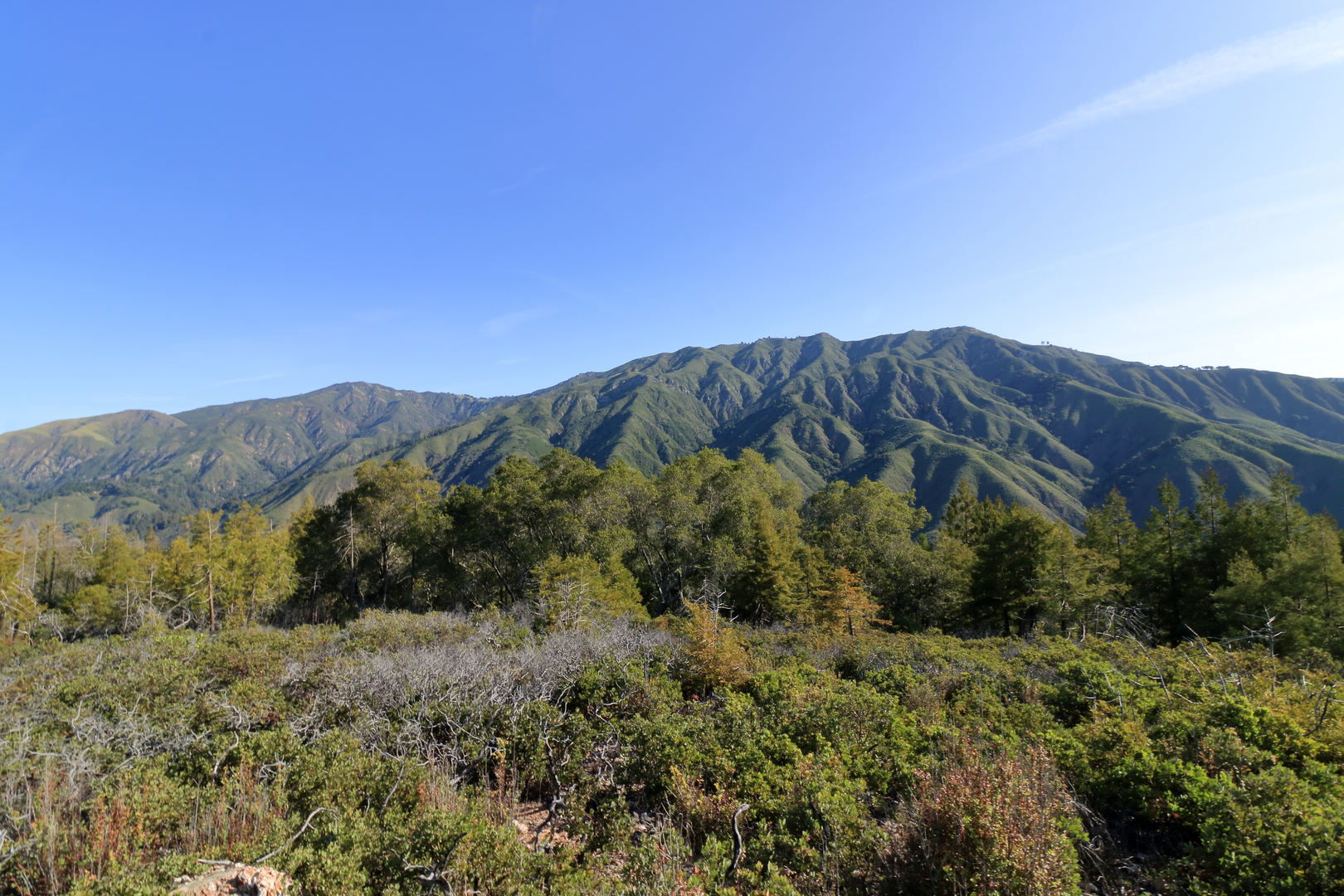An image depicting the trail Manuel Peak Trail and its surrounding area.