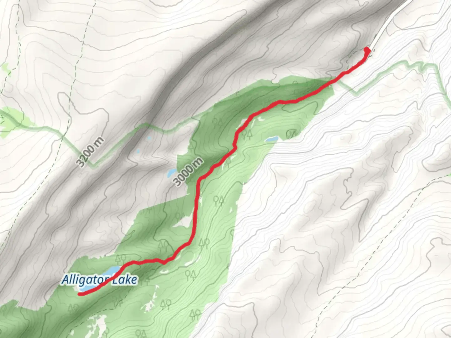 An image depicting the trail Alligator Lake via Henry's Fork Trail and its surrounding area.