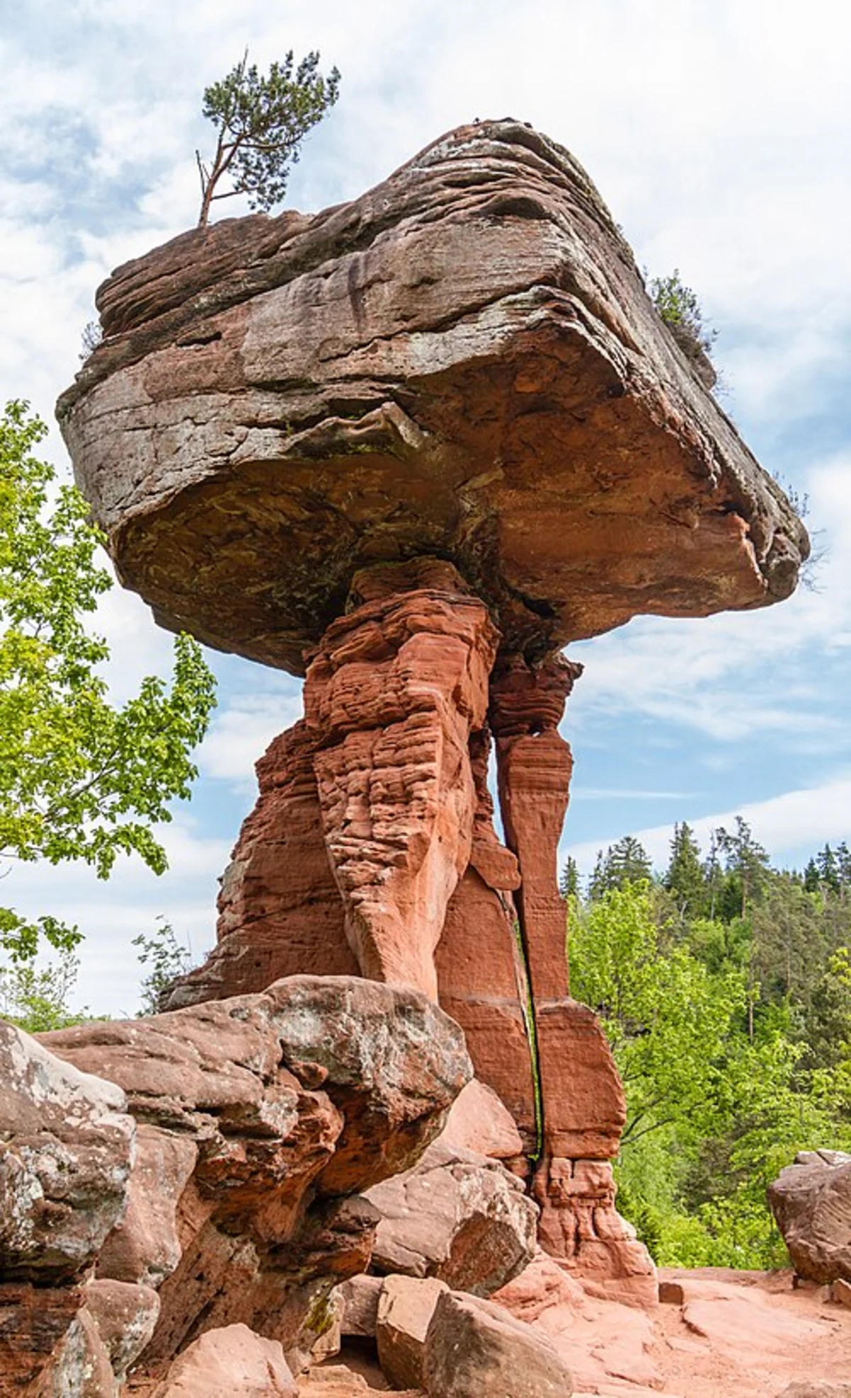 Lambrechter Wetterstein, Teufelsfelsen and Waldhaus Lambertskreuz via Rundwanderweg