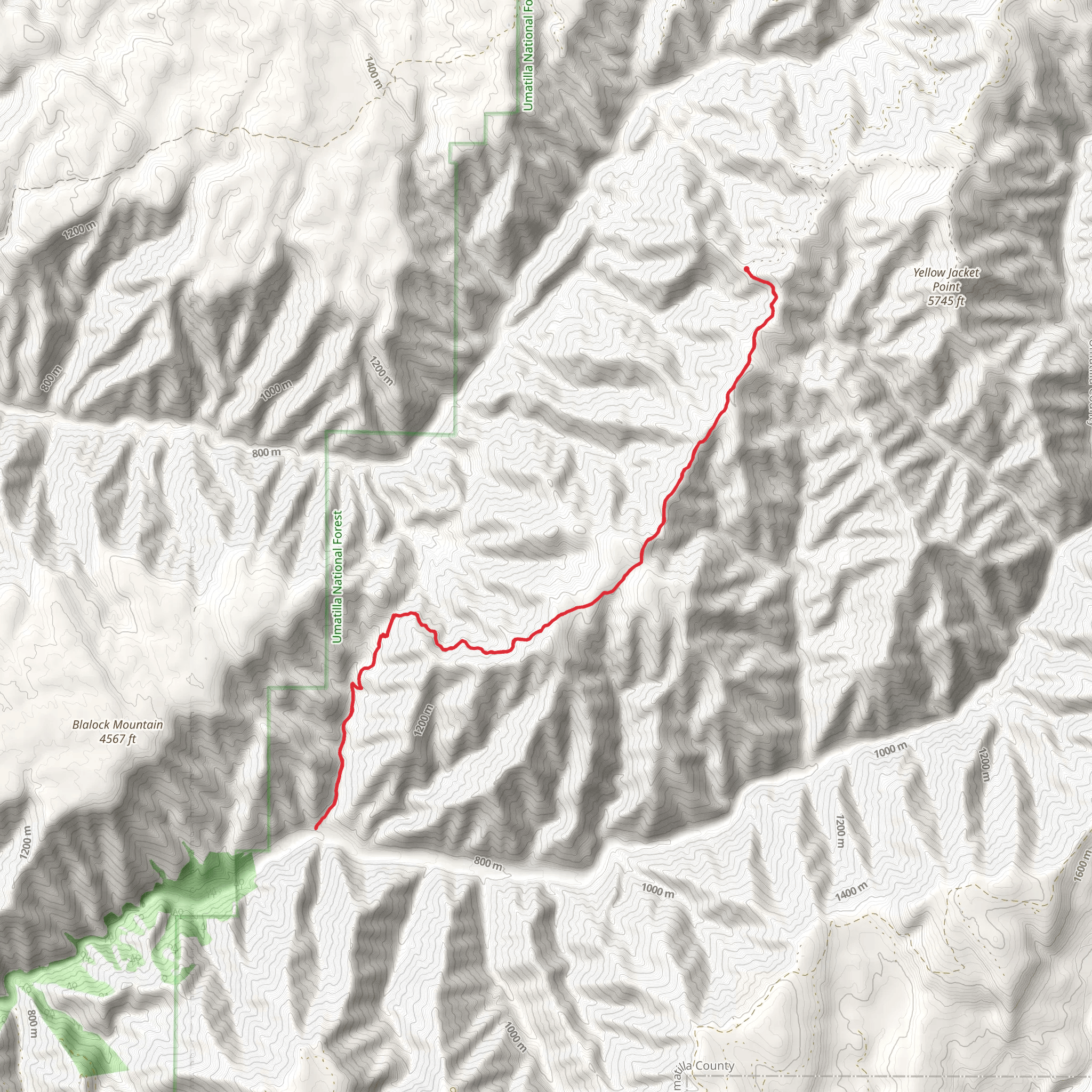 Table Spring - Bear Creek Trail mobile static map