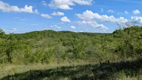 Spring Creek Gap Conservation Area Short Loop Trail