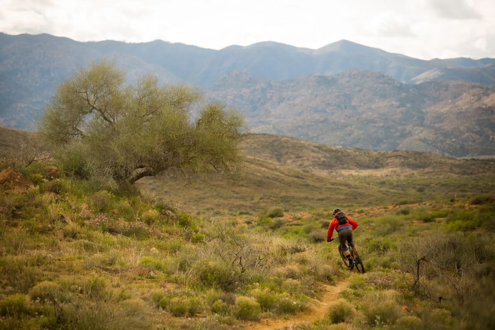 An image depicting the trail Black Canyon Single Track Trail and its surrounding area.